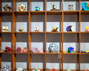 Elevate Your Collectibles with Greenhouse Decor's Custom Display Shelves